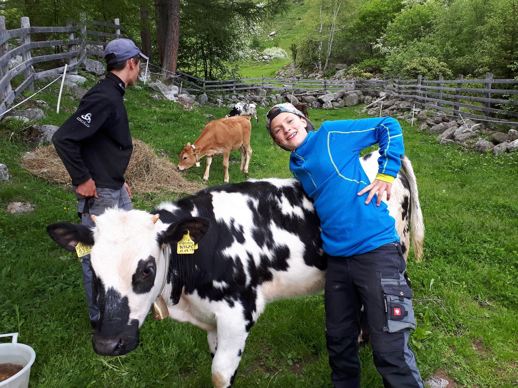 Tiere am Oberkofl Hof im Ahrntal